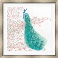 Spring Peacock II Bird Fine Art Print