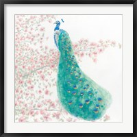 Spring Peacock II Bird Fine Art Print