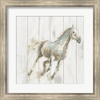 Stallion I on Birch Fine Art Print