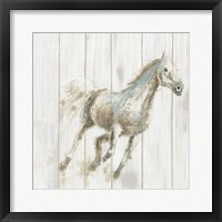 Stallion I on Birch Framed Print