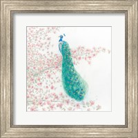 Spring Peacock II Fine Art Print