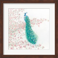 Spring Peacock II Fine Art Print
