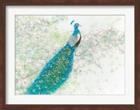 Spring Peacock I Fine Art Print