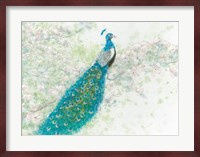 Spring Peacock I Fine Art Print