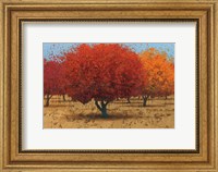 Orange Trees II Fine Art Print