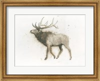 Elk Fine Art Print