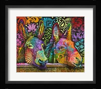 Donkeys Fine Art Print
