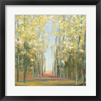 Aspen Grove II Fine Art Print
