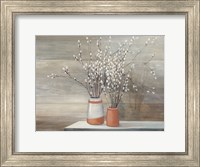 Pussy Willow Still Life Fine Art Print