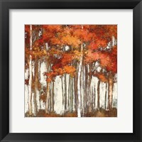October Woods Light Fine Art Print