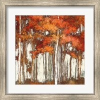 October Woods Light Fine Art Print