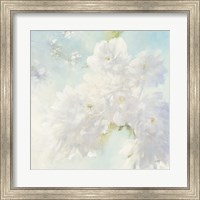 Pear Blossoms Fine Art Print