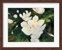 Magnolia Blooms Fine Art Print