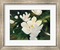 Magnolia Blooms Fine Art Print