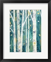 Birches in Spring II Framed Print