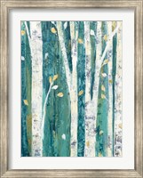 Birches in Spring III Fine Art Print