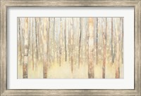 Birches in Winter Fine Art Print