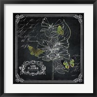 Chalkboard Botanical II Fine Art Print