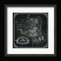 Chalkboard Botanical II Framed Print