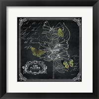Chalkboard Botanical II Framed Print