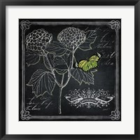 Chalkboard Botanical I Fine Art Print