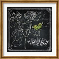Chalkboard Botanical I Fine Art Print