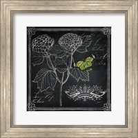 Chalkboard Botanical I Fine Art Print