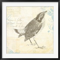 Engraved Birds I Fine Art Print