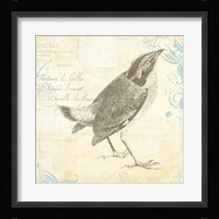 Engraved Birds I Framed Print