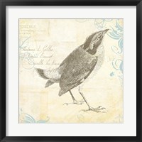 Engraved Birds I Fine Art Print