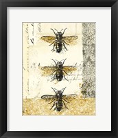Golden Bees n Butterflies No 1 Fine Art Print