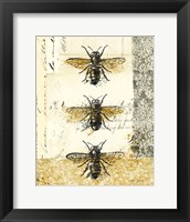 Golden Bees n Butterflies No 1 Framed Print