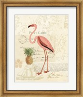 Floridian IV Fine Art Print