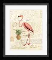 Floridian IV Framed Print