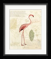 Floridian I Framed Print