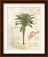 Floridian II Fine Art Print