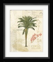 Floridian II Framed Print
