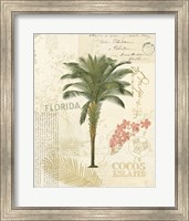 Floridian II Fine Art Print