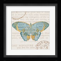 Bookshelf Botanical VIII Framed Print