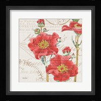 Bookshelf Botanical V Framed Print