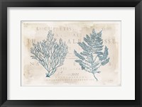 Sea Garden I Framed Print