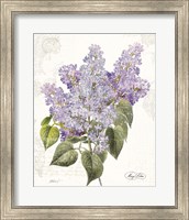 May Lilac on White Fine Art Print