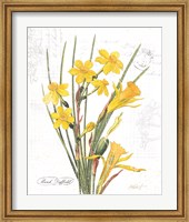 March Daffodil on White Fine Art Print