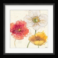 Painted Poppies IV Framed Print