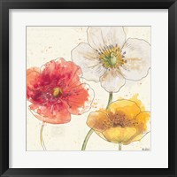 Painted Poppies IV Framed Print