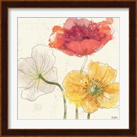 Painted Poppies V Fine Art Print