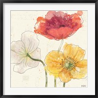 Painted Poppies V Fine Art Print