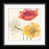 Painted Poppies V Framed Print