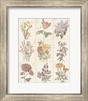 Flowers of the Month 9 Patch Vintage Fine Art Print