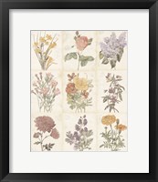 Flowers of the Month 9 Patch Vintage Fine Art Print